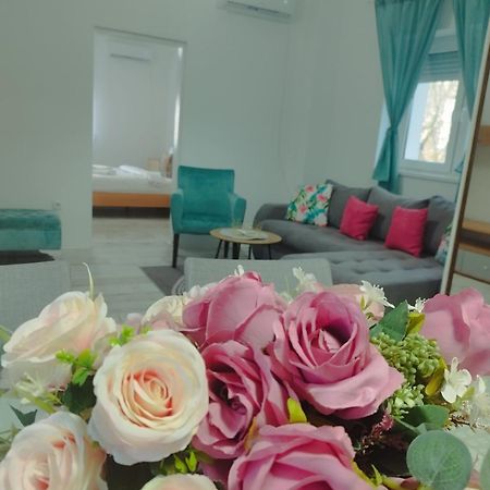 Apartman Radovic Smederevo Exterior photo