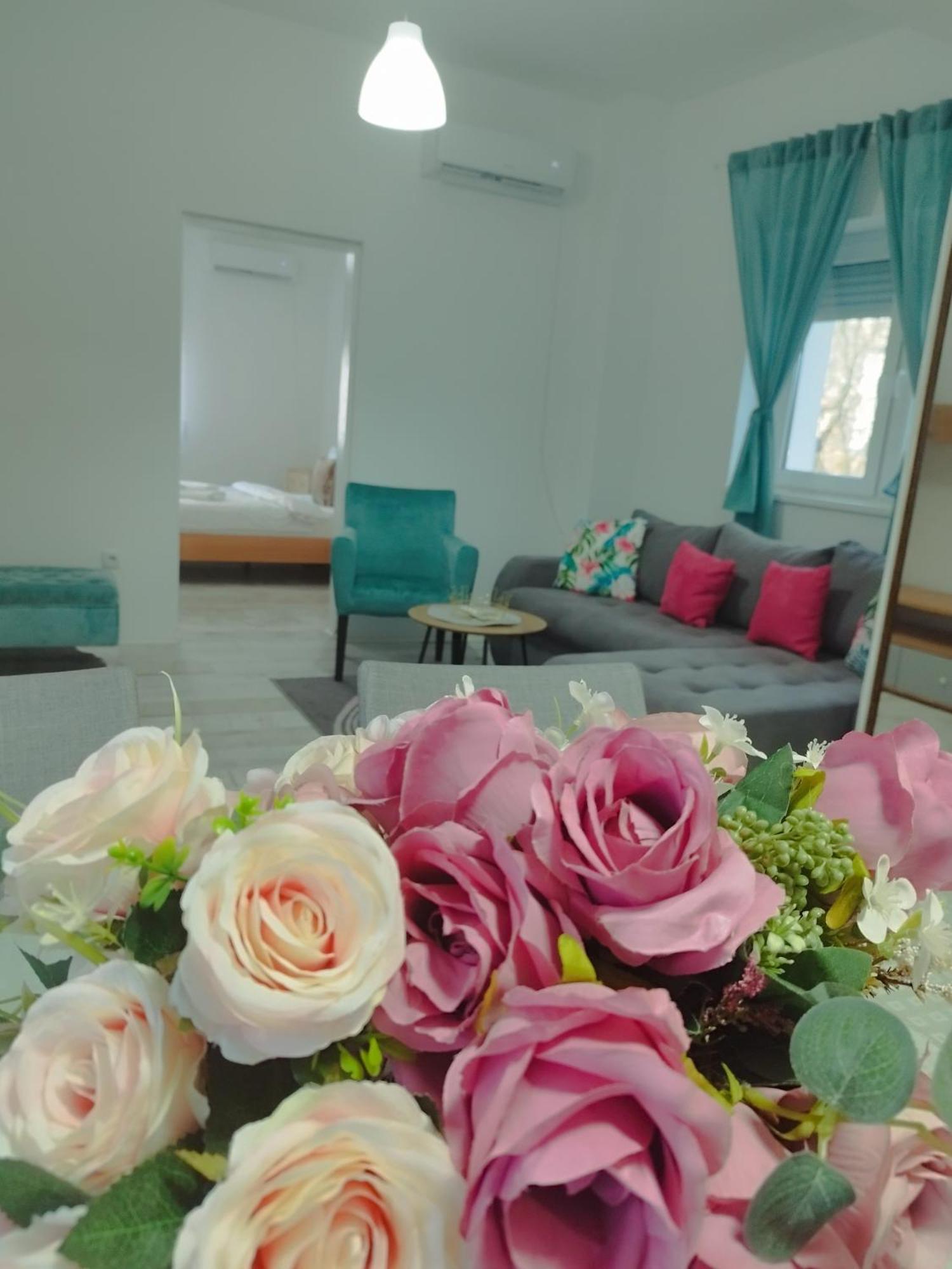 Apartman Radovic Smederevo Exterior photo